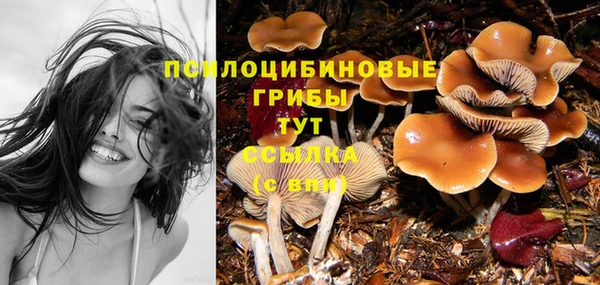 сатива Осинники