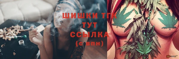 индика Абаза