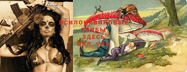 сатива Осинники