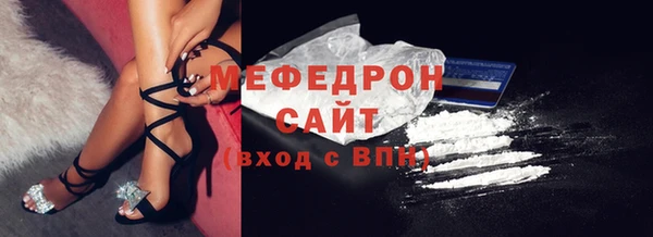 индика Абаза