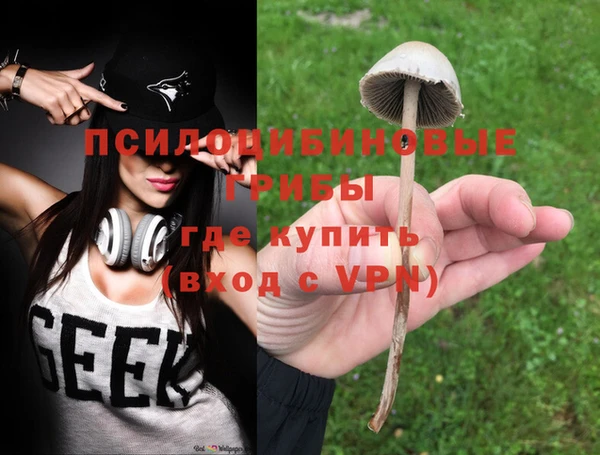 индика Абаза