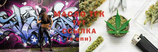 индика Абаза